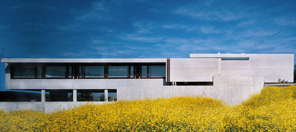 Casa en calle El Pitreño